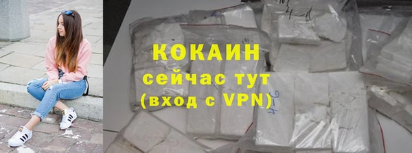 индика Семилуки