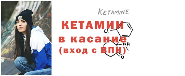 индика Семилуки