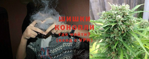 индика Семилуки