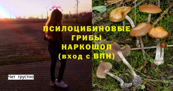 кокаин колумбия Бородино